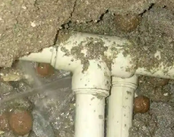 子长测漏水多少钱