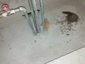 子长卫生间测漏水价格明细