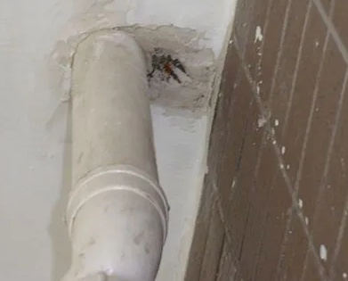 子长漏水检测哪家好